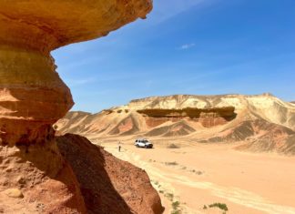 Safari-Tourismus in Afrika: Milliardenwachstum erwartet