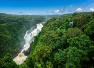 Mit der Gondel über Regenwald schweben und den Traumzeitgeschichten der First Nations lauschen