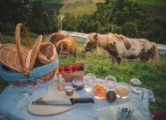 Urlaub in Garda Trentino: Erlebnisse individuell gestalten – ohne Planungsaufwand