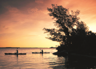 Magisches Leuchten unter dem Kajak: Nachts durch die Mangroven