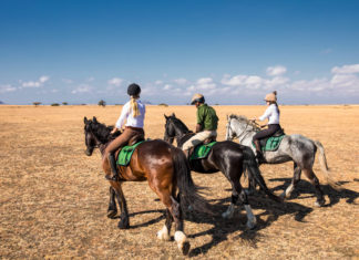 Horses & Heli in Kenia – Safari-Erlebnis mit Perspektivwechsel