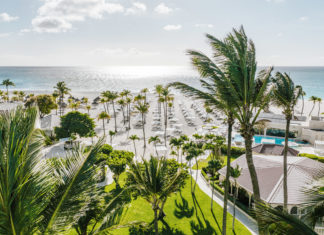 Voluntourismus auf Aruba: Schildkröten retten und Mangroven pflanzen
