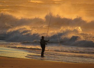 Hochsaison auf den Hamptons: Long Island feiert die Auster