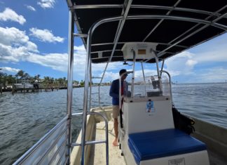 Bradenton Gulf Islands – Spannende Delfintouren!