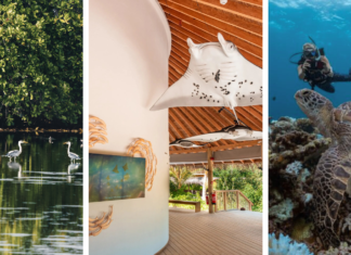 Wie die Malediven Nachhaltigkeit und Traumurlaub verbinden