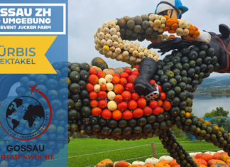 Gossau ZH Themenwoche: Eine spektakuläre Kürbisausstellung!