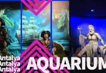 Das Antalya Aquarium hat mehr als nur Fische zu bieten