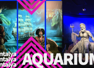 Das Antalya Aquarium hat mehr als nur Fische zu bieten