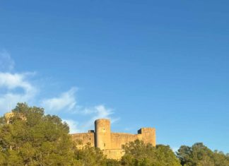 Palma Spezial: Waldspaziergänge rund um die Stadt