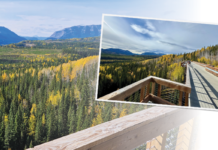 Rocky–Nordegg Rail Trail eröffnet neue Perspektiven für Outdoor-Abenteuer in Alberta