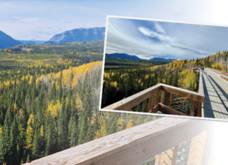 Rocky–Nordegg Rail Trail eröffnet neue Perspektiven für Outdoor-Abenteuer in Alberta