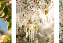 Eine Ode an die Apfelblüte: Eisblumen und Blütenpracht in Lana und Umgebung