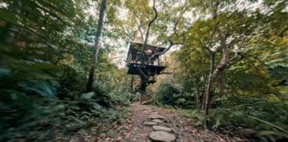Japans Baumhäuser: Treeful Treehouse in Nago
