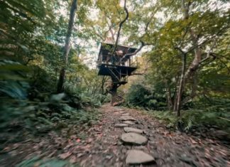 Japans Baumhäuser: Treeful Treehouse in Nago