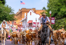 Nostalgie auf Schienen – Grapevines legendäre texanische Eisenbahn