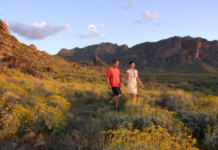 Wo die Wildnis ruft: Unterwegs auf Arizonas legendärem Fernwanderweg
