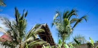 Hotel Sansibar: Hotel Green Ocean Zanzibar