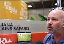 Spannendes Safaricamp-Projekt in Angola und Namibia