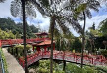 Madeira am besten mit einem Reiseführer erkunden