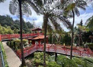 Madeira am besten mit einem Reiseführer erkunden