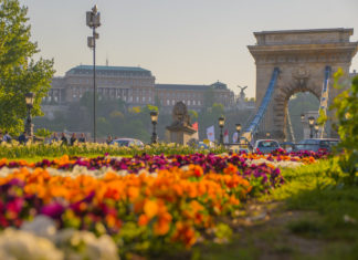 Genuss ohne Kompromisse: Warum Budapest zu Europa’s spannendster Food-Destination wird