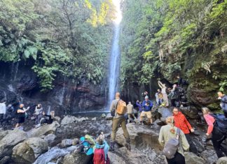 Die Levadas Wanderung auf Madeira