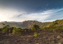 Entspannung ja, Langeweile nein: Warum der Sommer auf La Palma weit mehr zu bieten hat als nur Badespaß