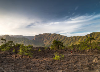 Entspannung ja, Langeweile nein: Warum der Sommer auf La Palma weit mehr zu bieten hat als nur Badespaß