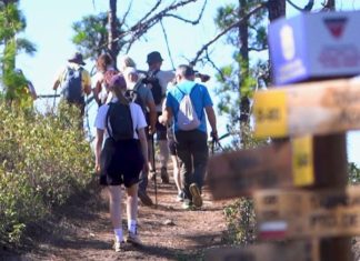 Das Gran Canaria Walking Festival 2026