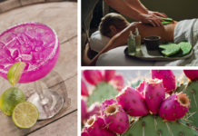 Kleine Frucht ist ein großer Star:Auf den Spuren der Prickly Pear in Scottsdale