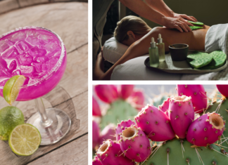 Kleine Frucht ist ein großer Star:Auf den Spuren der Prickly Pear in Scottsdale