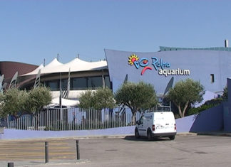 Mallorca: Das Palma Aquarium – VIDEO