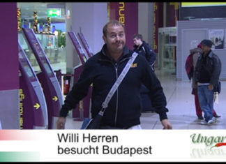In allen Herren Länder: Willi in Budapest