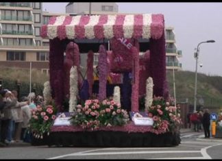 Live aus Noordwijk: Blumenkorso