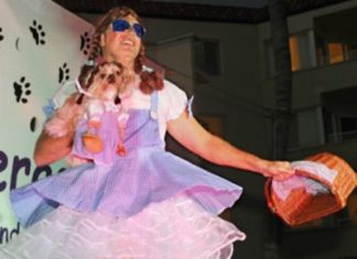 Hunde im Dirndl in Key West