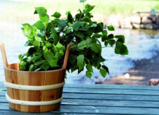 Urlaub mal anders: Zu Gast bei finnischen Familien