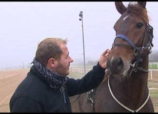 In allen Herren Länder: Budapests Pferderennbahn