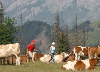 Familienfreundlich! Gstaad leistet Beitrag zur Familienplanung