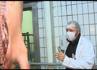 In allen Herren Länder: Auf den Spuren der ungarischen Salami